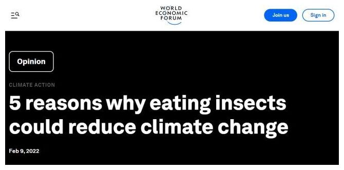 WEF Eat Bugs Reason