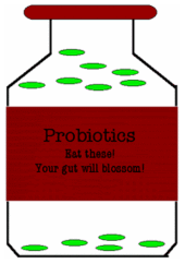 Probiotics Bottle Graphic