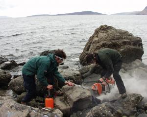 Click to enlarge Researchers cutting the block of stone to extract jurrasic turtle