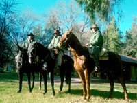 Click to enlarge The three cabanerros