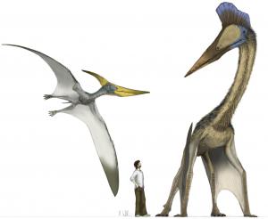 Click to enlarge pterosaurs