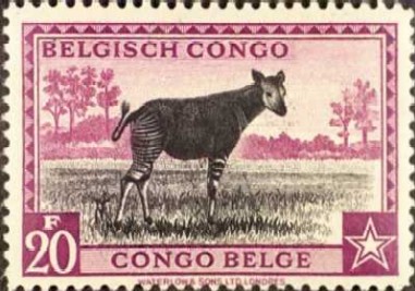 Okapi on stamp
