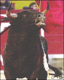 Bullfighting Spain