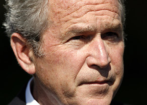 Click to enlarge bush