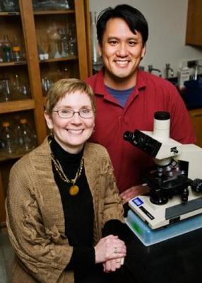 Click to enlarge Estradiol Researchers