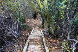 The end of the line for the stairway leading to the floor of Rustic Canyon