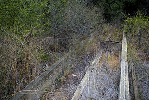 A portion of the overgrown foundation of what was once a state-of-the-art greenhouse