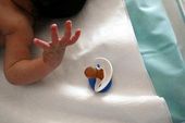 Click to enlarge Baby boom