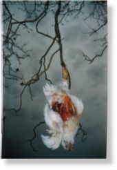 Mutilated chicken