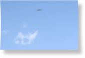 UFO or condor I
