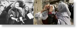 Jews Palestinians Nazis