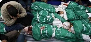 dead babies