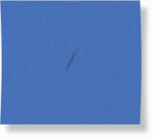 Click to enlarge Enlarged black rod