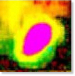 Click to enlarge Mother ship thermo imagine
