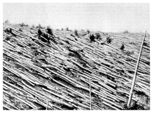 Tunguska