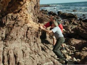 sea cliff exposures at Marino Rocks, South Australia