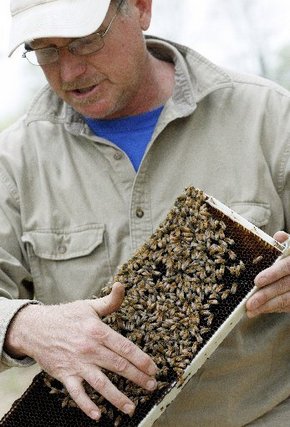 Clint Walker a central Texas beekeeper