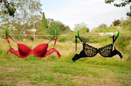 The Physics of Breast Bras