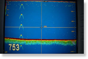 Loch Ness sonar image