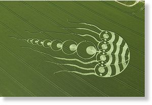 Jellyfish crop circle