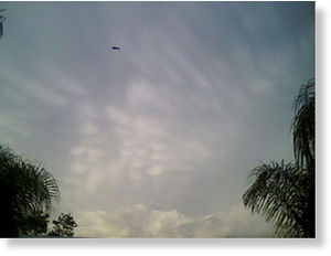 Florida ufo