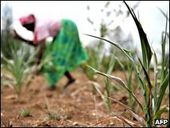 Click to enlarge Kenya drought