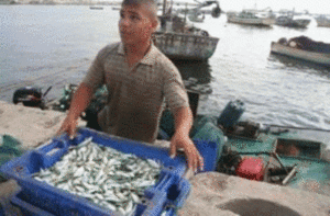 Fisherman_Gaza