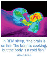 Click to enlarge REM sleep