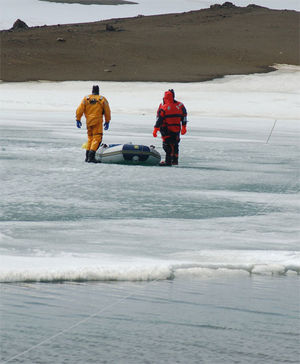 Viruses in Antarctica