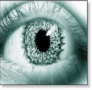 Eye of the Storm