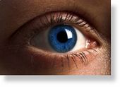eye