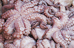 Click to enlarge more_dead_octopus