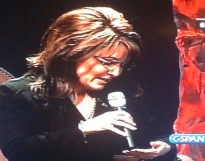 sarah palin cheats