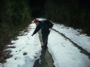 Click to enlarge bigfoot tracks