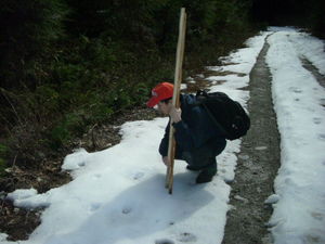 Click to enlarge bigfoot tracks