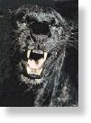 Black Panther