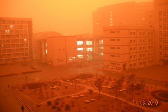 Seoul Yellow Dust