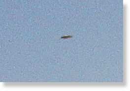 Argentina ufo