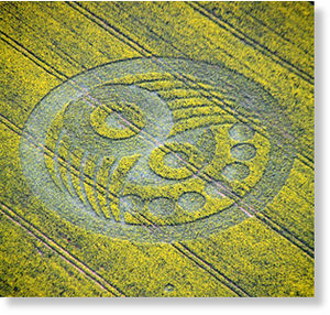 Crop circle