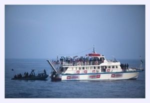 Click to enlarge flotilla