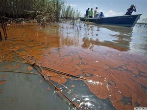 http://www.sott.net/image/image/s2/40297/medium/fishermen_sick_oil_spill.jpg