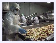 GMO_apples.jpg