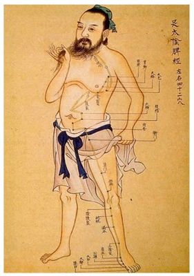 AcupunctureMeridians.jpg