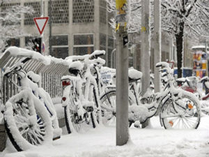 snow_eu_n.jpg