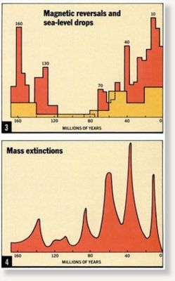 Magnetic Reversal Extinction