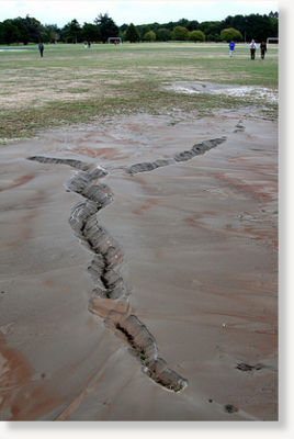 Christchurch Sand Liquifaction