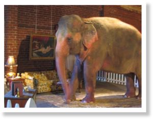Click to enlarge elephant