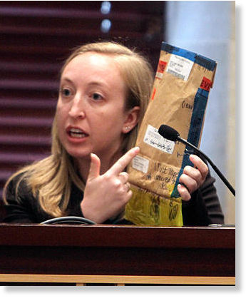 the trial of Casey Anthony casey anthony trial pics. the trial of Casey Anthony