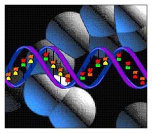 Junk DNA