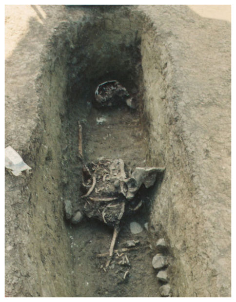 Click to enlarge Grave Robbery